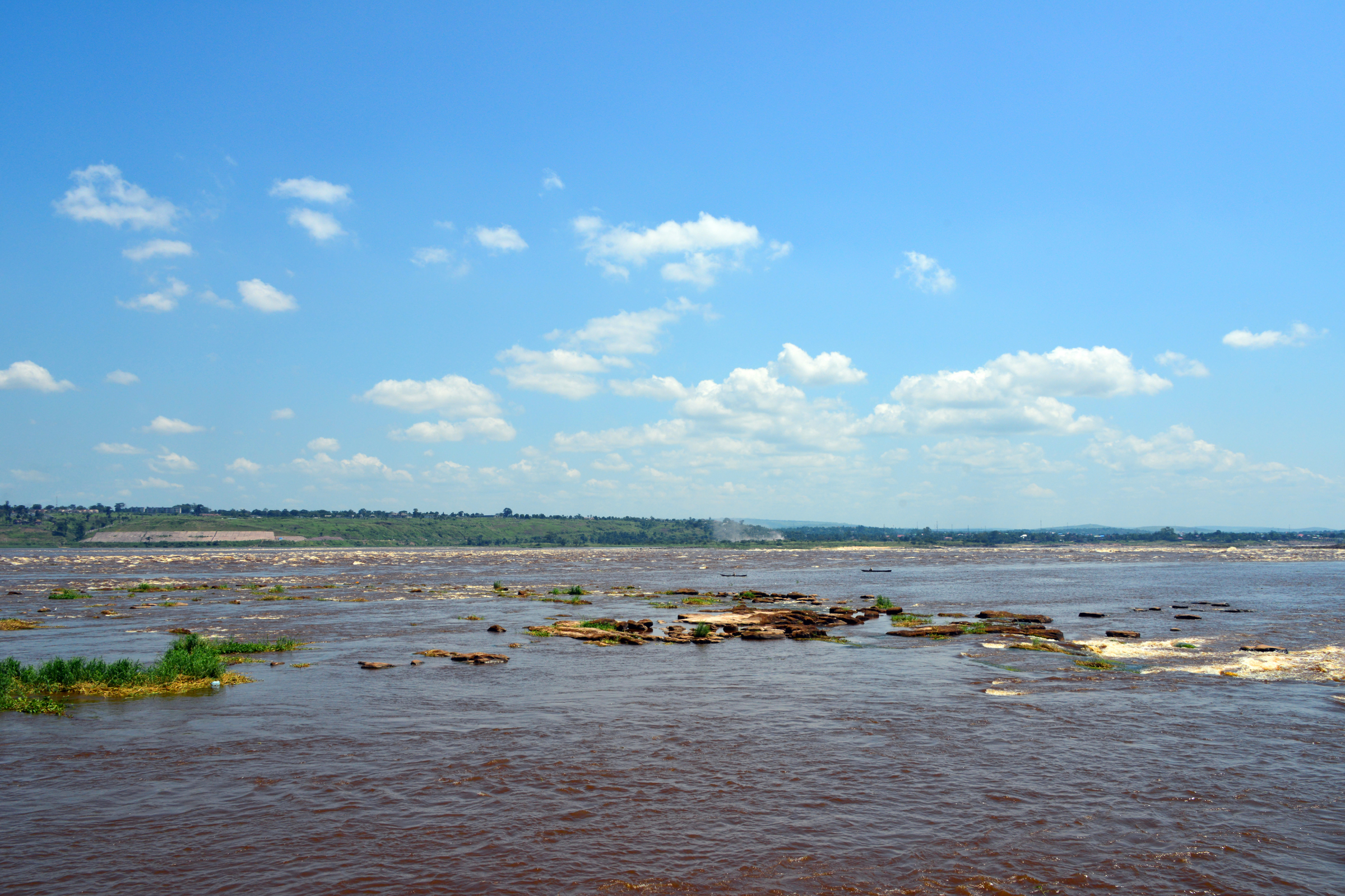 livingstone (3).webp